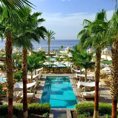 فنتشي سيليثيون لا بلانتاثيون ديل سور