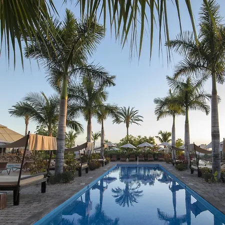 فنتشي سيليثيون لا بلانتاثيون ديل سور