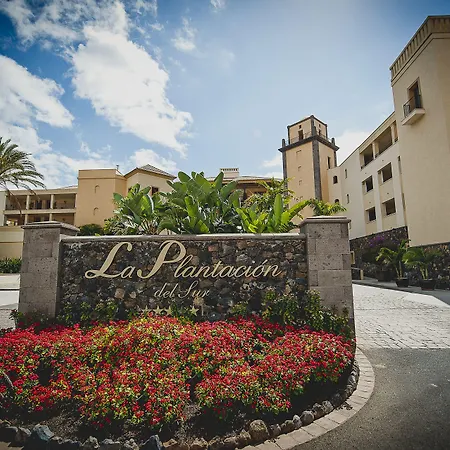 فنتشي سيليثيون لا بلانتاثيون ديل سور أذيخي